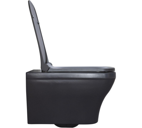 Чаша подвесного унитаза Allen Brau Infinity 4.21011.AN антрацит