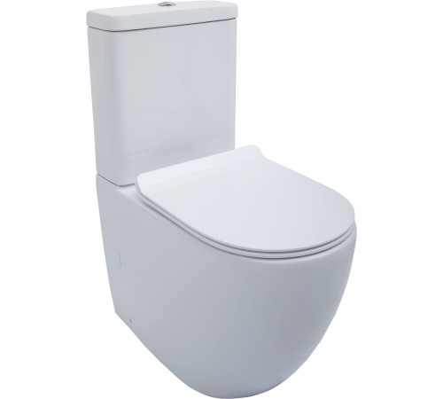 Чаша напольного унитаза Aquanet Rimless Cetus-C1 BL-102N-TPT