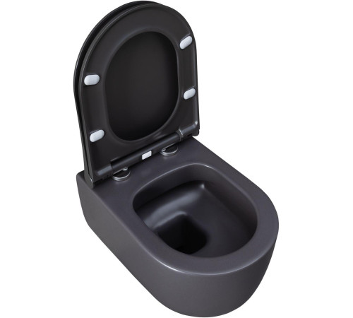 Чаша подвесного унитаза Allen Brau Priority 4.31002.AN антрацит