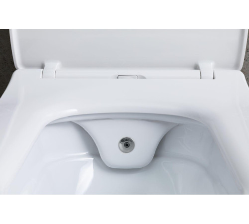 Чаша подвесного унитаза Allen Brau Liberty 4.33009.20 белый