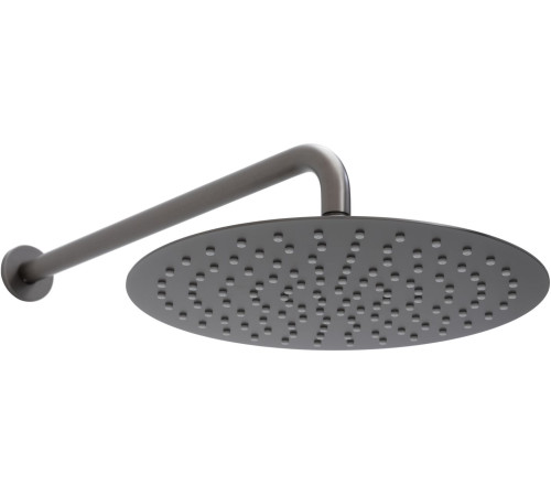 Верхний душ Allen Brau Priority 5.31A17-MG графит браш