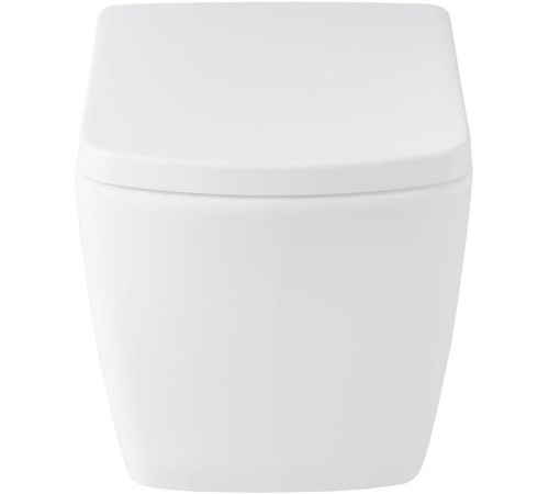 Унитаз с инсталляцией Allen Brau Liberty 4.33004.20/8.9466.0.000.000.1 белый глянец