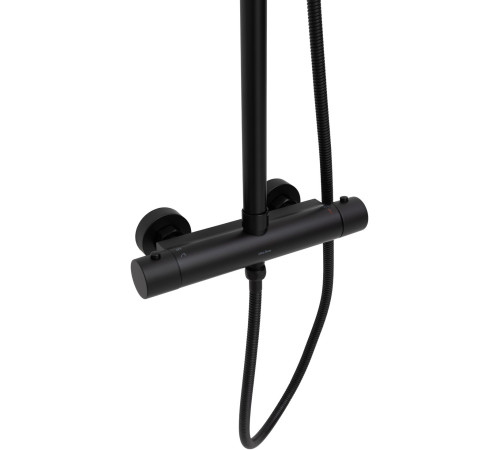 Душевая стойка Allen Brau Eclipse 3.0 5.E1A11-31 черный матовый