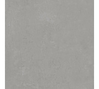 Керамогранит Про Фьюче DD640220R Серый матовый 60х60