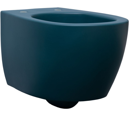 Чаша подвесного унитаза Allen Brau Fantasy 4.11004.PT петроль