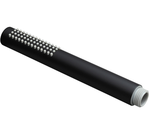 Душевая лейка Allen Brau Priority 5.31020-31 черный матовый