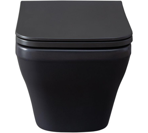 Чаша подвесного унитаза Allen Brau Infinity 4.21011.AN антрацит