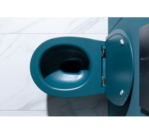 Крышка-сиденье для унитаза Allen Brau Fantasy Soft-Close 4.11005.PT петроль