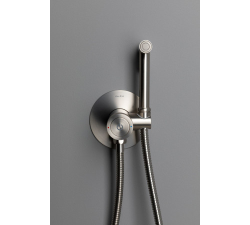Смеситель с гигиеническим душем Allen Brau Liberty 5.33005-BN (с внутренней частью) никель браш