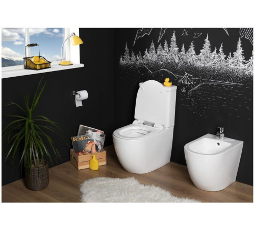 Чаша напольного унитаза Aquanet Rimless Cetus-C1 BL-102N-TPT