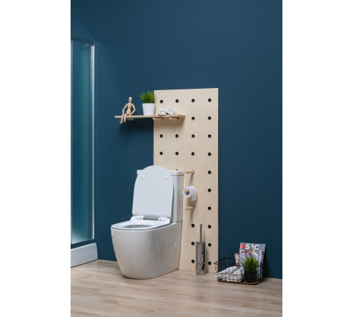 Чаша напольного унитаза Aquanet Rimless Cetus-C1 BL-102N-TPT