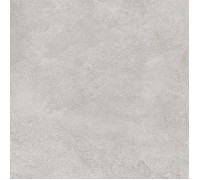 Керамогранит Про Стоун DD600320R Светло-серый матовый 60х60