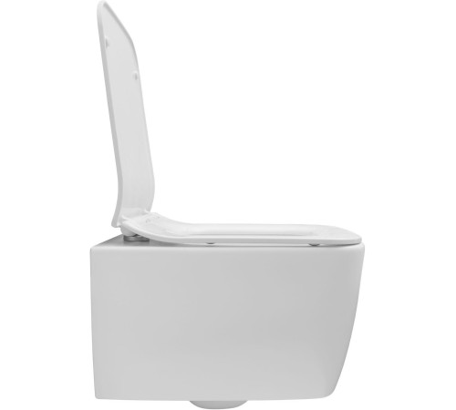 Чаша подвесного унитаза Allen Brau Liberty 4.33007.21 белый матовый