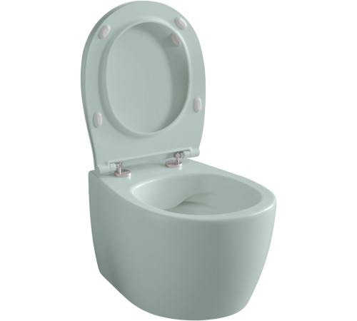 Чаша подвесного унитаза Allen Brau Fantasy 4.11004.MT мятный