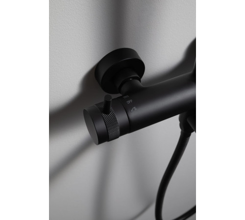 Душевая стойка Allen Brau Priority 5.31A10-31 черный матовый