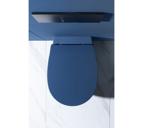 Чаша подвесного унитаза Allen Brau Fantasy 4.11004.ID индиго
