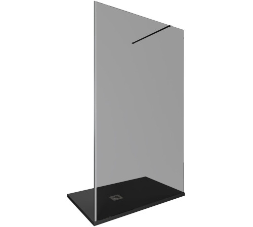 Душевая перегородка Allen Brau Infinity 1 160 3.21032.BA.T серебро браш