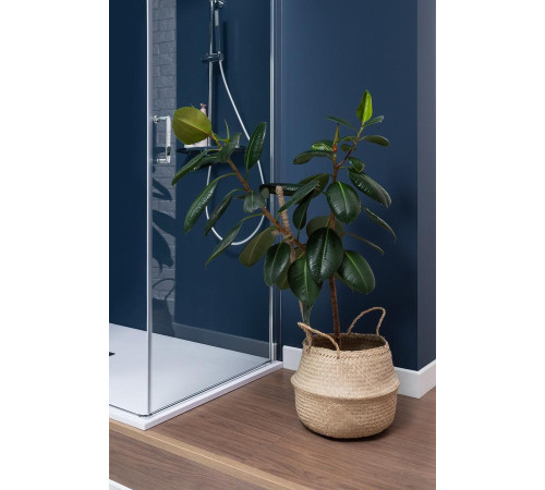 Душевая дверь Aquanet Cinetic AE12-N-120H190U-CT 1200, прозрачное стекло