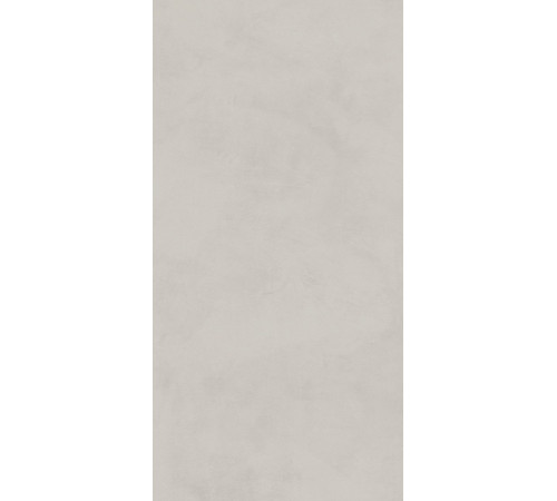 Керамогранит Про Чементо DD504520R Светло-серый матовый 60х119.5