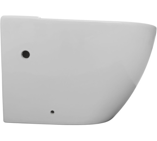 Чаша напольного унитаза Aquanet Rimless Cetus 2.0 C1 LX-2903