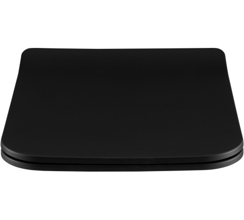 Сиденье для унитаза Allen Brau Liberty 4.33008.31 черный матовый