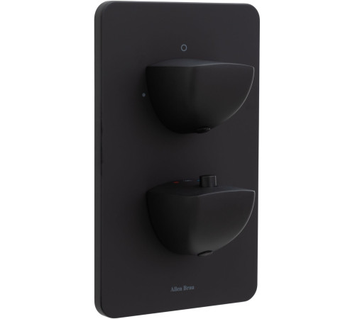 Смеситель для ванны Allen Brau Infinity 5.21216-31 (с внутренней частью, 2 выхода) черный матовый