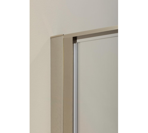 Душевая дверь Allen Brau Priority 160 3.31038.BA серебро браш