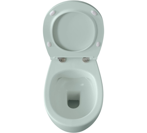 Чаша подвесного унитаза Allen Brau Fantasy 4.11004.MT мятный