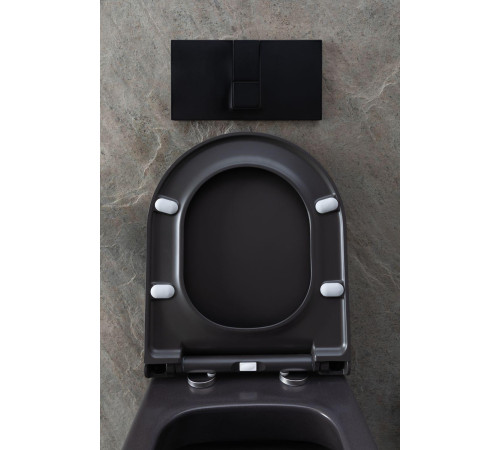 Чаша подвесного унитаза Allen Brau Priority 4.31001.AN антрацит