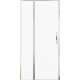 Душевая дверь Allen Brau Priority 100 3.31028.00 хром
