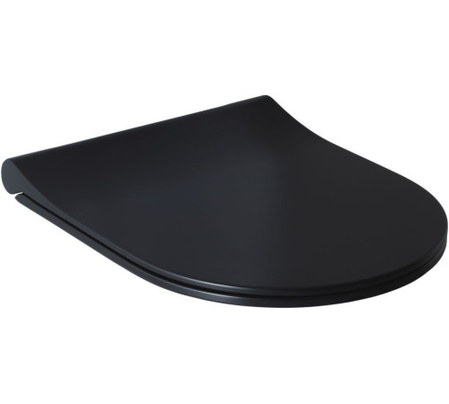 Крышка-сиденье для унитаза Allen Brau Priority 4.31004.31 черный матовый