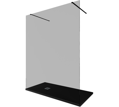 Душевая перегородка Allen Brau Infinity 2 160 3.21058.BBA.T черный браш