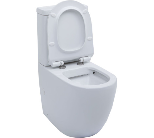 Чаша напольного унитаза Aquanet Rimless Cetus-C1 BL-102N-TPT