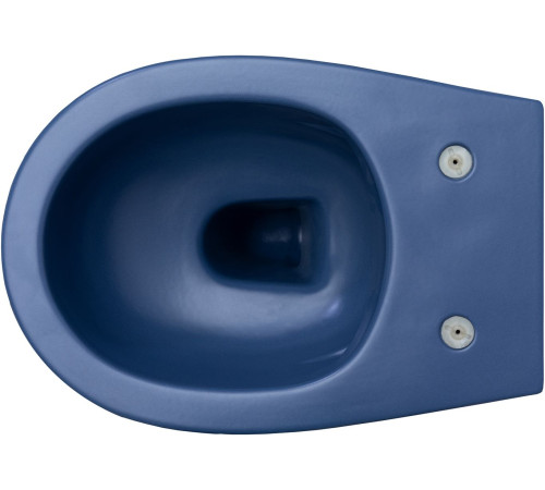 Чаша подвесного унитаза Allen Brau Fantasy 4.11004.ID индиго