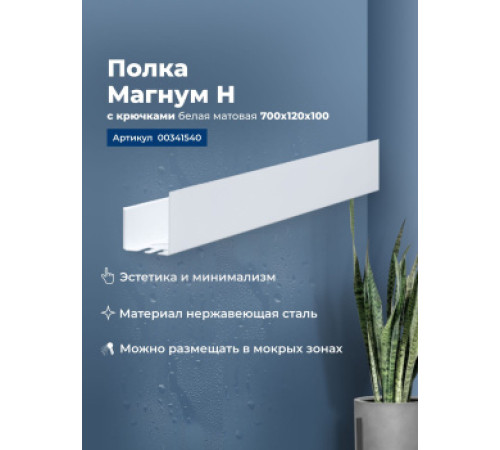Полка Aquanet Магнум Н 70x12 белая матовая, с крючками