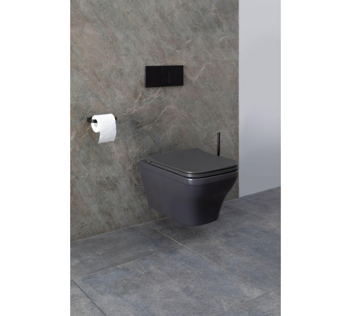 Чаша подвесного унитаза Allen Brau Infinity 4.21011.AN антрацит