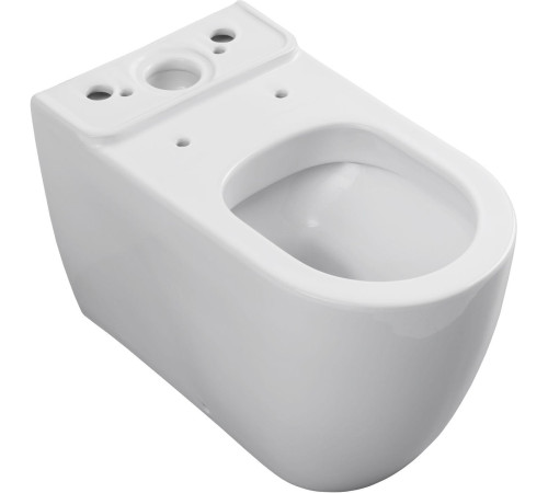 Чаша напольного унитаза Allen Brau Priority 4.31003.20 белый