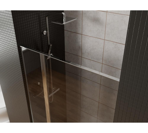 Душевая дверь Allen Brau Priority 120 3.31007.00G хром