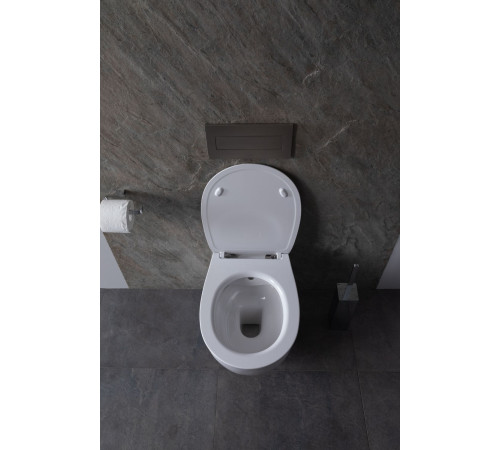 Крышка-сиденье для унитаза Allen Brau Fantasy Smartfix, Soft-Close 4.11005.20 белый глянец