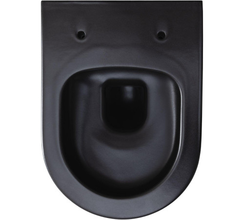 Чаша подвесного унитаза Allen Brau Priority 4.31002.31 черный матовый