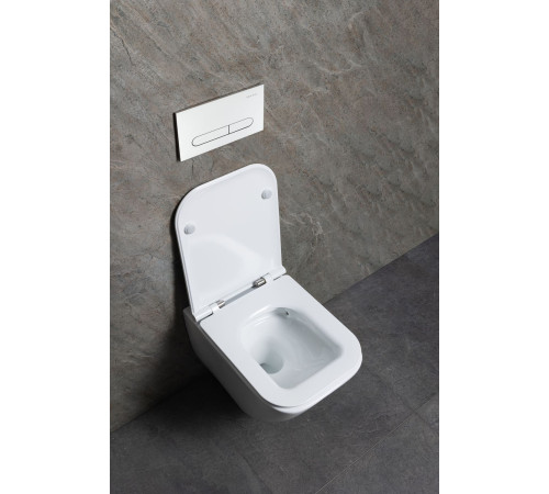 Чаша подвесного унитаза Allen Brau Liberty 4.33011.20 белый