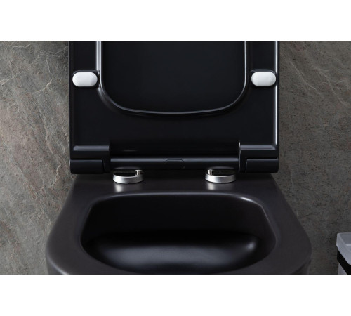 Чаша подвесного унитаза Allen Brau Priority 4.31001.31 черный матовый