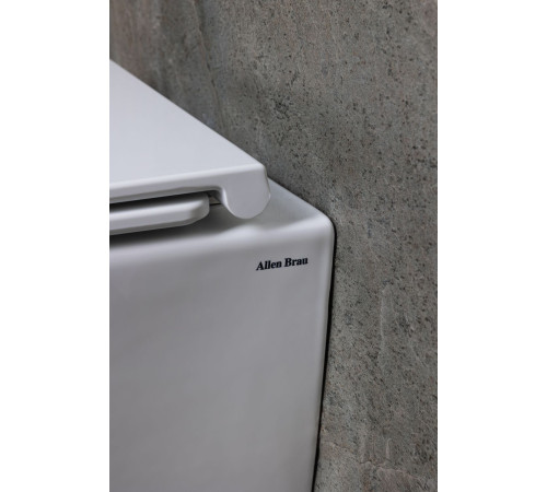 Чаша подвесного унитаза Allen Brau Liberty 4.33012.20 белый