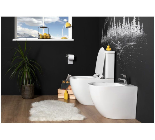 Чаша напольного унитаза Aquanet Rimless Cetus-C1 BL-102N-TPT