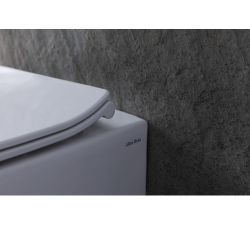 Чаша приставного унитаза Allen Brau Fantasy 4.11007.20 белый глянец