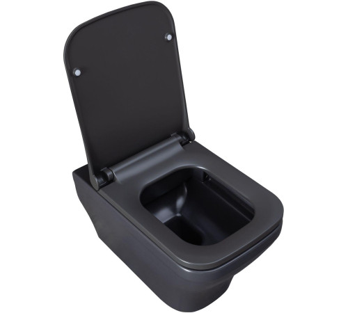 Чаша подвесного унитаза Allen Brau Infinity 4.21011.AN антрацит