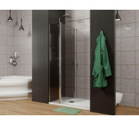 Душевая дверь Allen Brau Priority 120 3.31007.00G хром