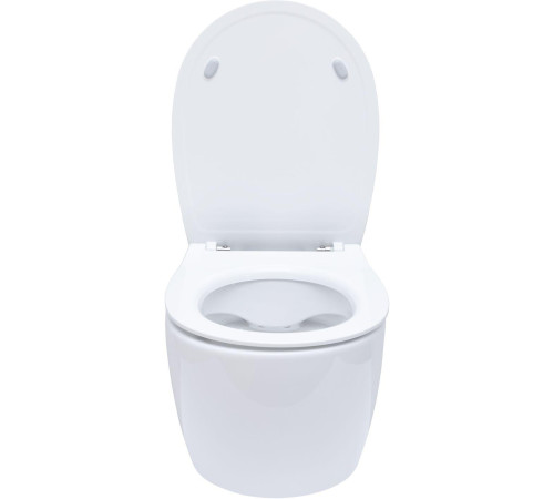 Чаша подвесного унитаза Allen Brau Fantasy 4.11004.20 белый глянец