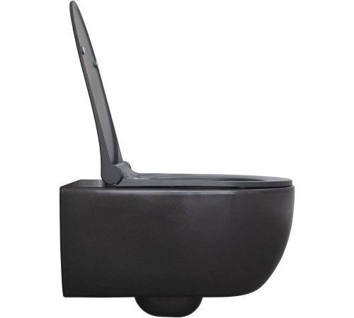 Чаша подвесного унитаза Allen Brau Priority 4.31001.AN антрацит