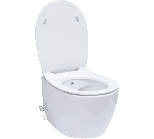 Крышка-сиденье для унитаза Allen Brau Fantasy Smartfix, Soft-Close 4.11005.20 белый глянец